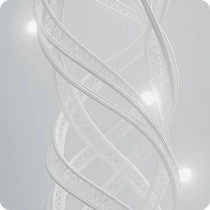 Сертифицированные составы